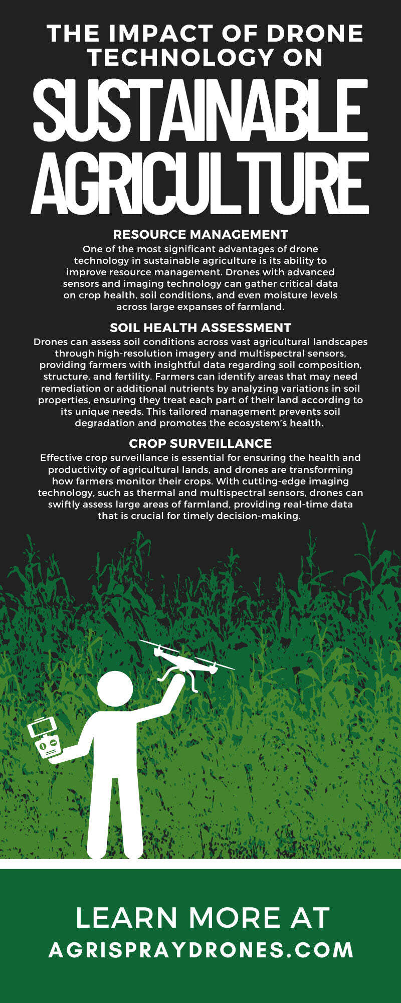 The Impact of Drone Technology on Sustainable Agriculture